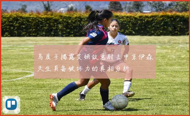 乌度卡揭露艾顿故意肘击申京伊森天生具备破坏力的真相分析