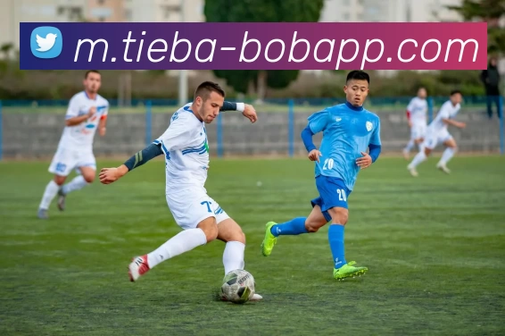 BOB体育服务体系